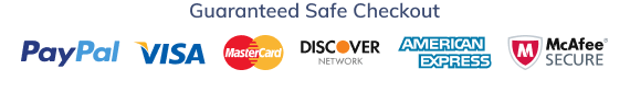 PayPal, Visa, Mastercard, Discover and American Express