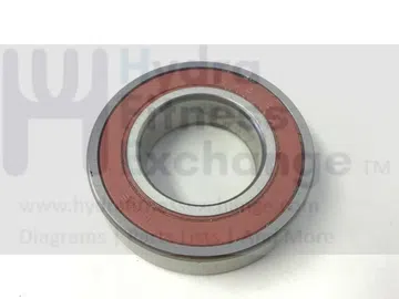 Precor EFX534I - Titanium (AMWG) Elliptical Axle Bearing 6005RS