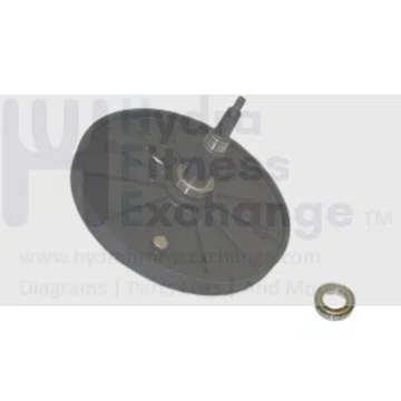 Horizon Merit Fitness EP230B EP230D EP230C EP230 E901-SM Elliptical Flywheel Pulley Assembly 1000094003