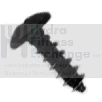 AFG Horizon 7.3AIC Elite IC7 Stationary Bike Self Tapping Screw 1000350920