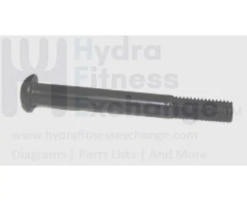 AFG Horizon Vision Matrix Merit Tempo Fitness Gear Elliptical Hex Socket Screw M8x1.25Px70L 004762-00