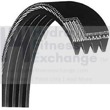 AFG Horizon Fitness Vision Elliptical Poly-V Drive Belt 42" Rib 10 049242-A