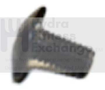 AFG Horizon Fitness Gear Elliptical Round Phillip Screw M5x0.8Px8L 004326-00