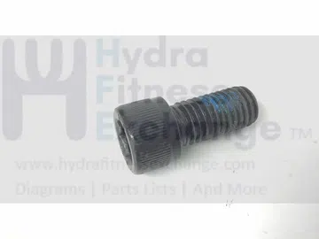 True Fitness XLC900 - 2010 Elliptical Crank Mount Screw M12-1.75 x 1.0"