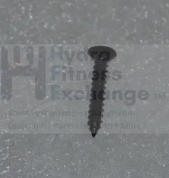Horizon Fitness RB013 Stationary Bike Counter Sink Phillips Self Tapping Screw 1000324756