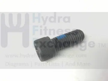 True Fitness XLC900 - 2010 Elliptical Rear Crank Screw M12-1.75 X 1.2"