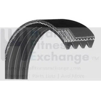Used Diamondback 1200T Treadmill Motor Drive Belt 21" 10Ribs PJ559 & 220J